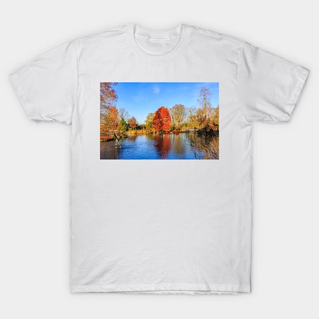 Winter Lake Scene T-Shirt by GrahamPrentice